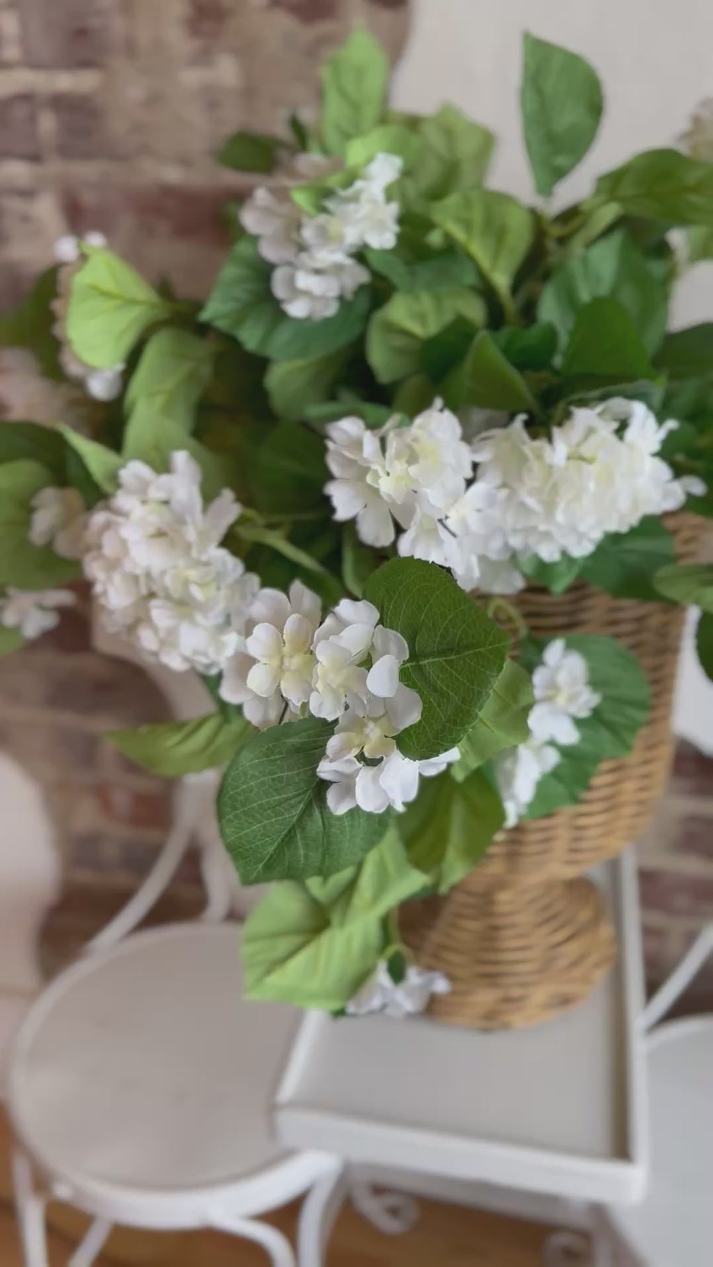 UV White Potted Hydrangea
