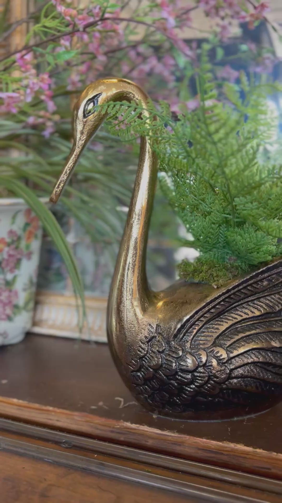 Swan & Fern