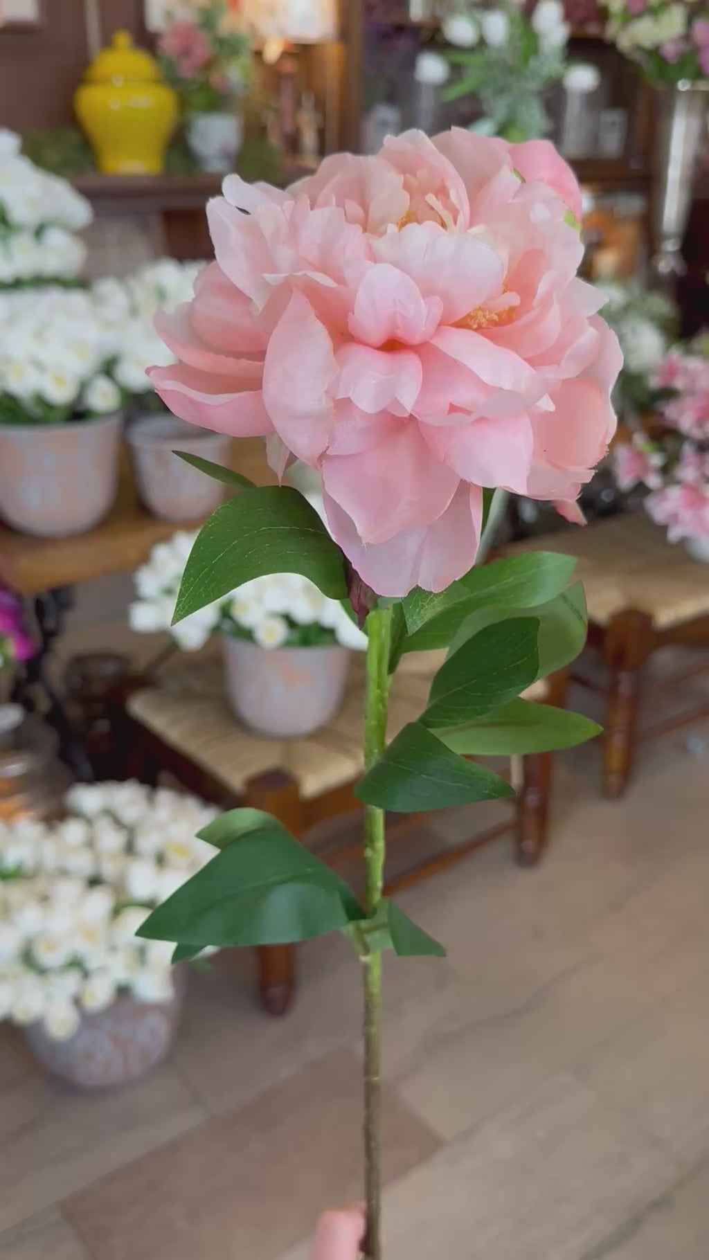 26" Garden Peony & Bud - Blush Pink