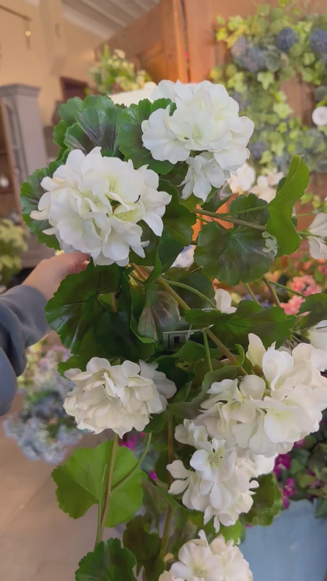 36" UV-Rated Natural Touch Summer Hanging Geranium Plant