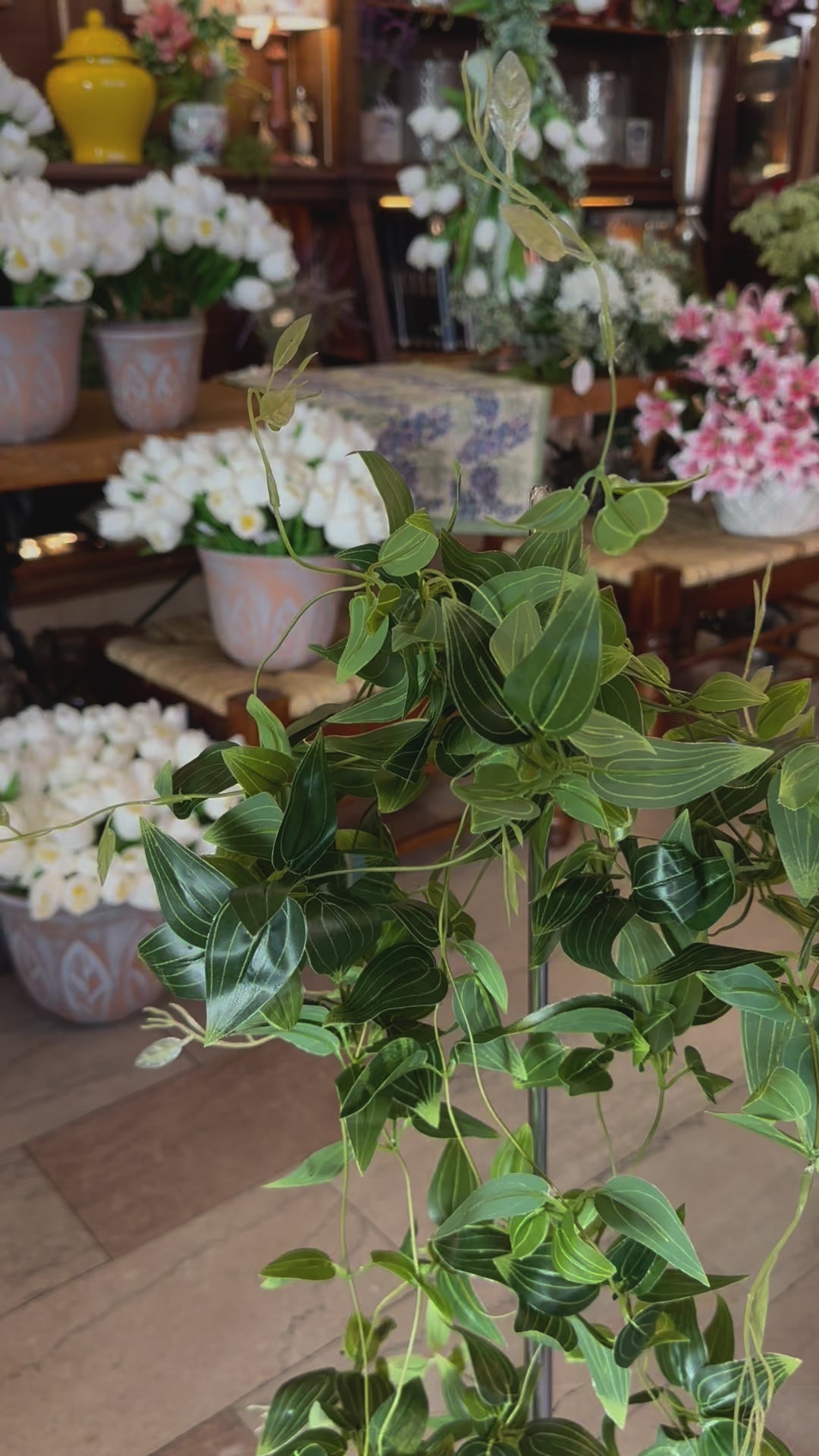 41" Hanging Tradescantia Plant