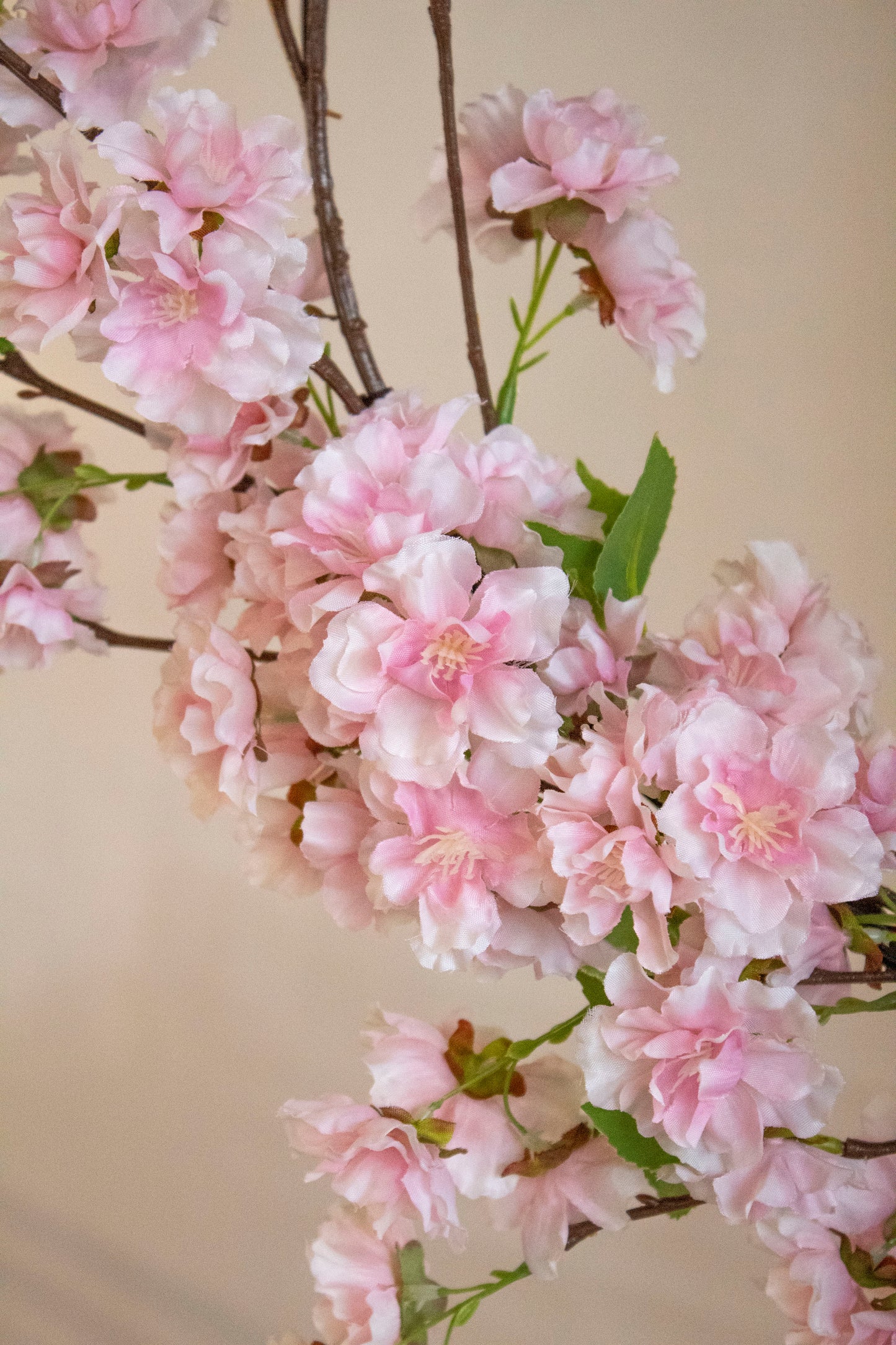 Soft Pink Dogwood Blooms Wreath