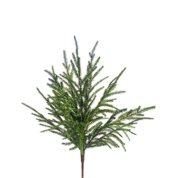 21" AUSTRIAN PINE BUSH