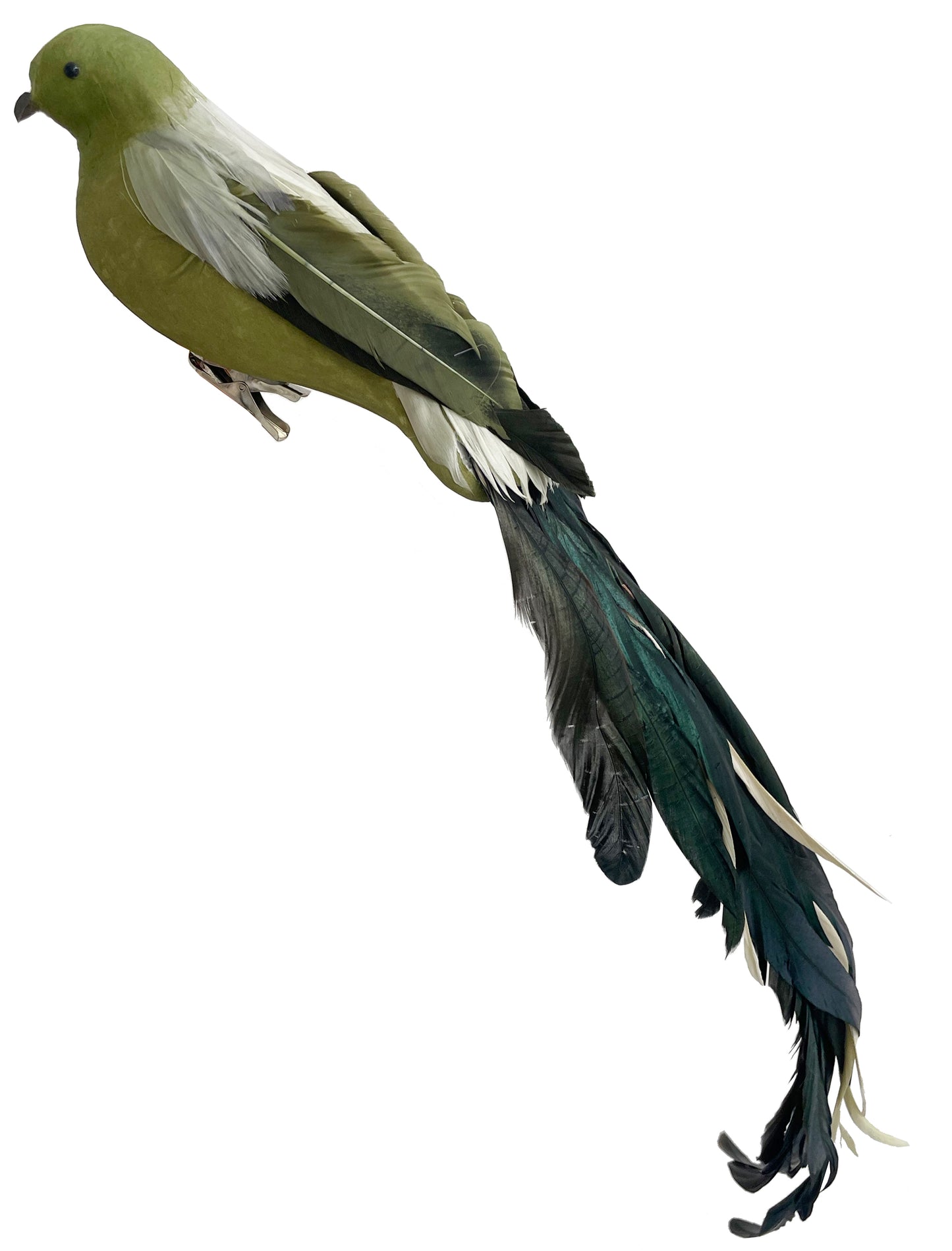 Green Feather Bird on Clip