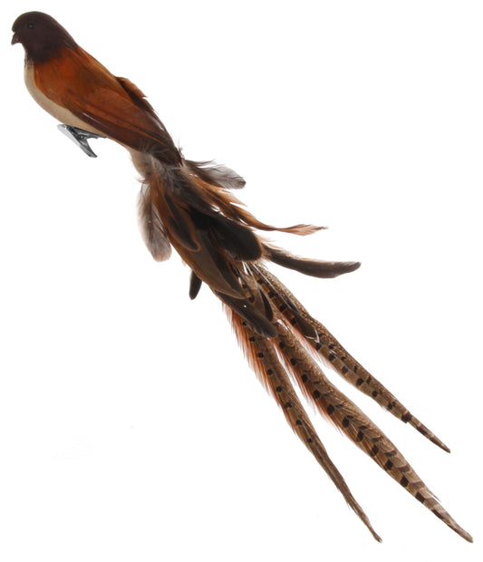 Brown Feather Bird on Clip