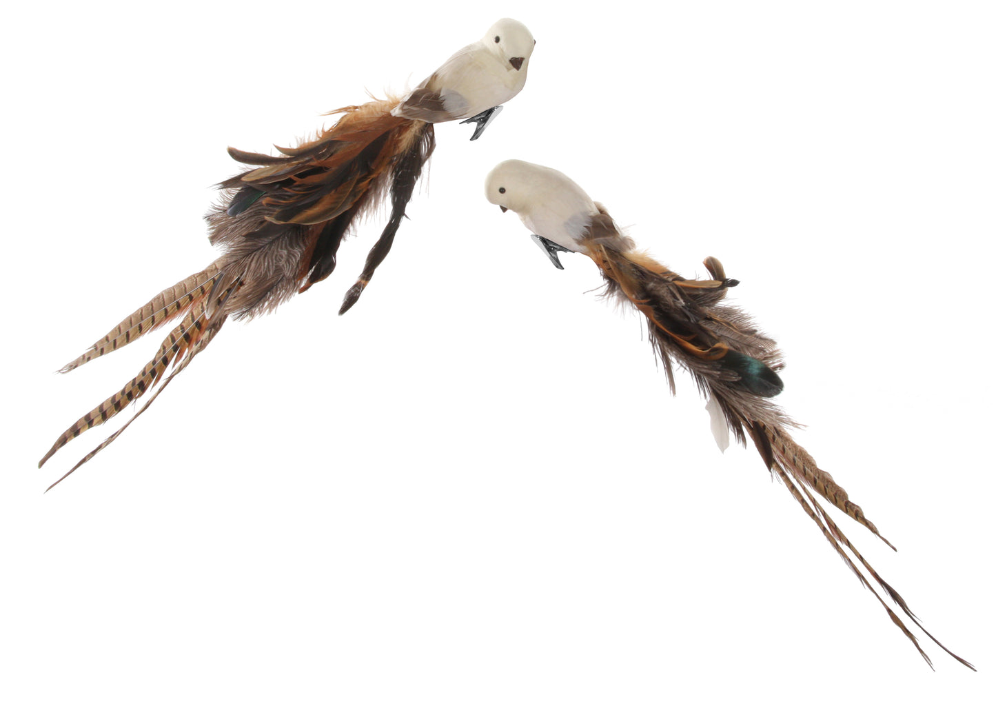 Bird (w/clip) mixed feather tail beige-brown