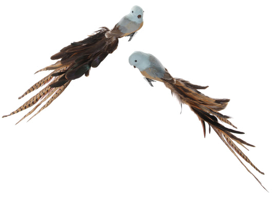 Bird (w/clip) mixed feather tail blue-brown