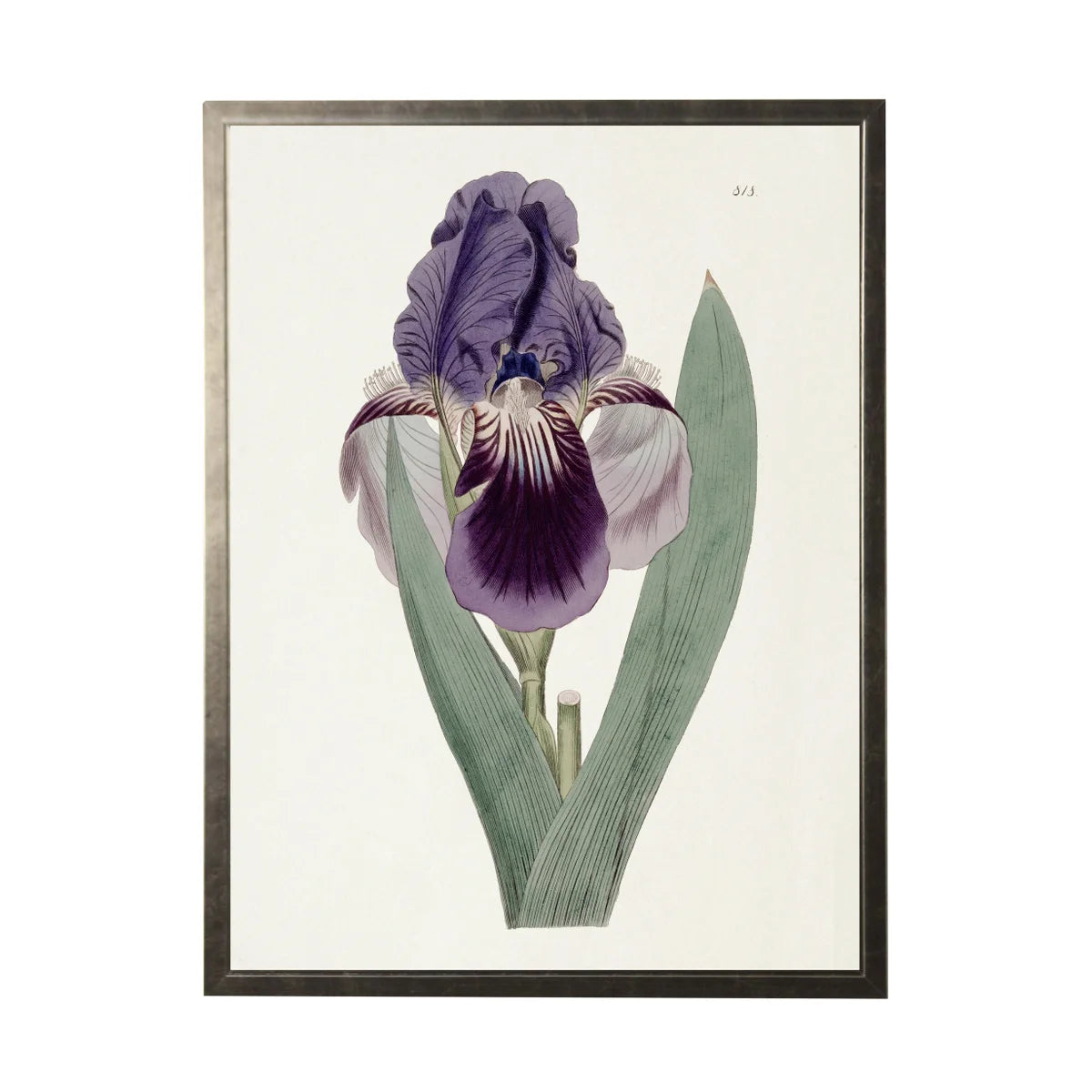 Vintage Purple Flower Bookplate