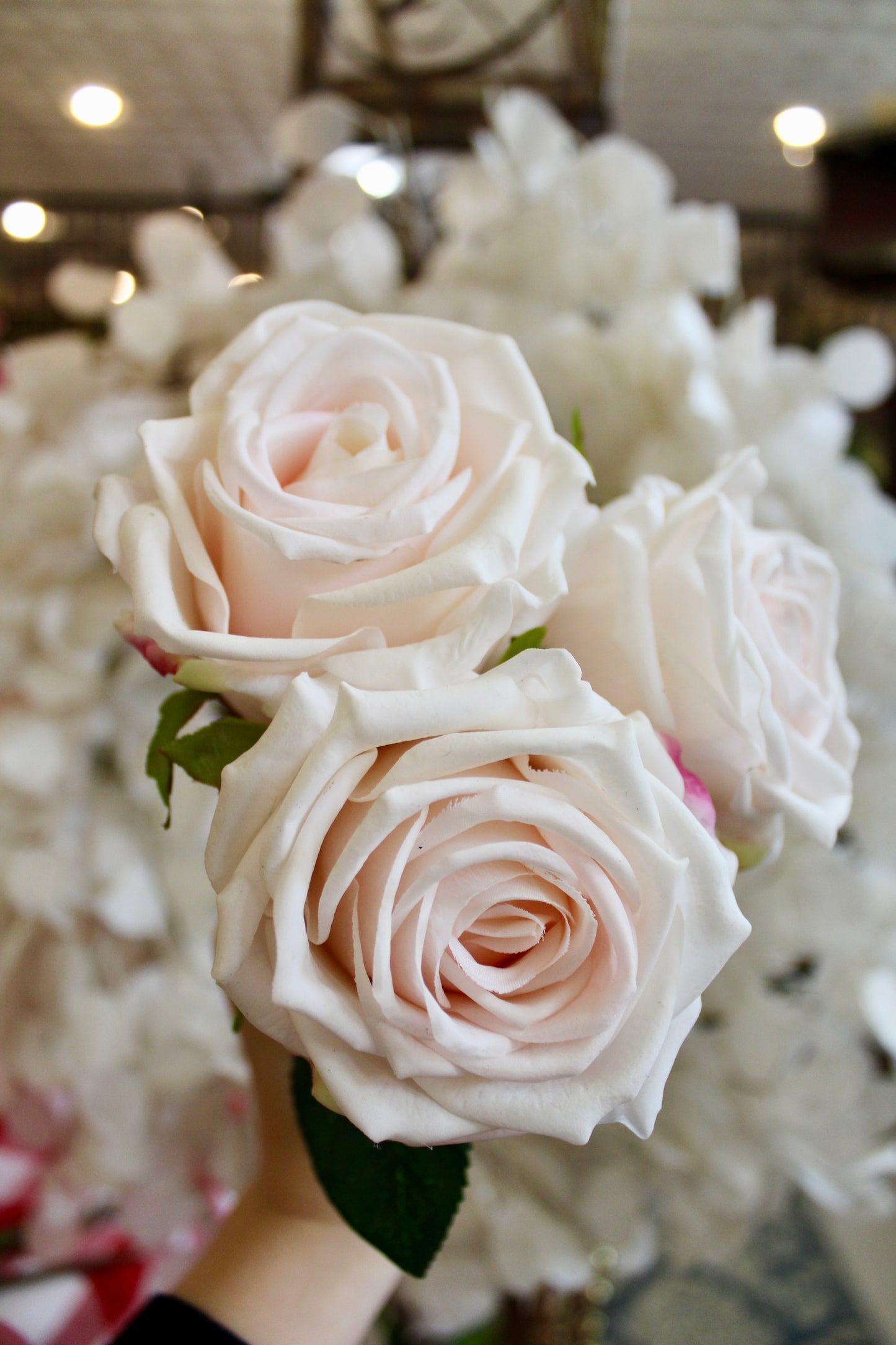 Forever Rose - White