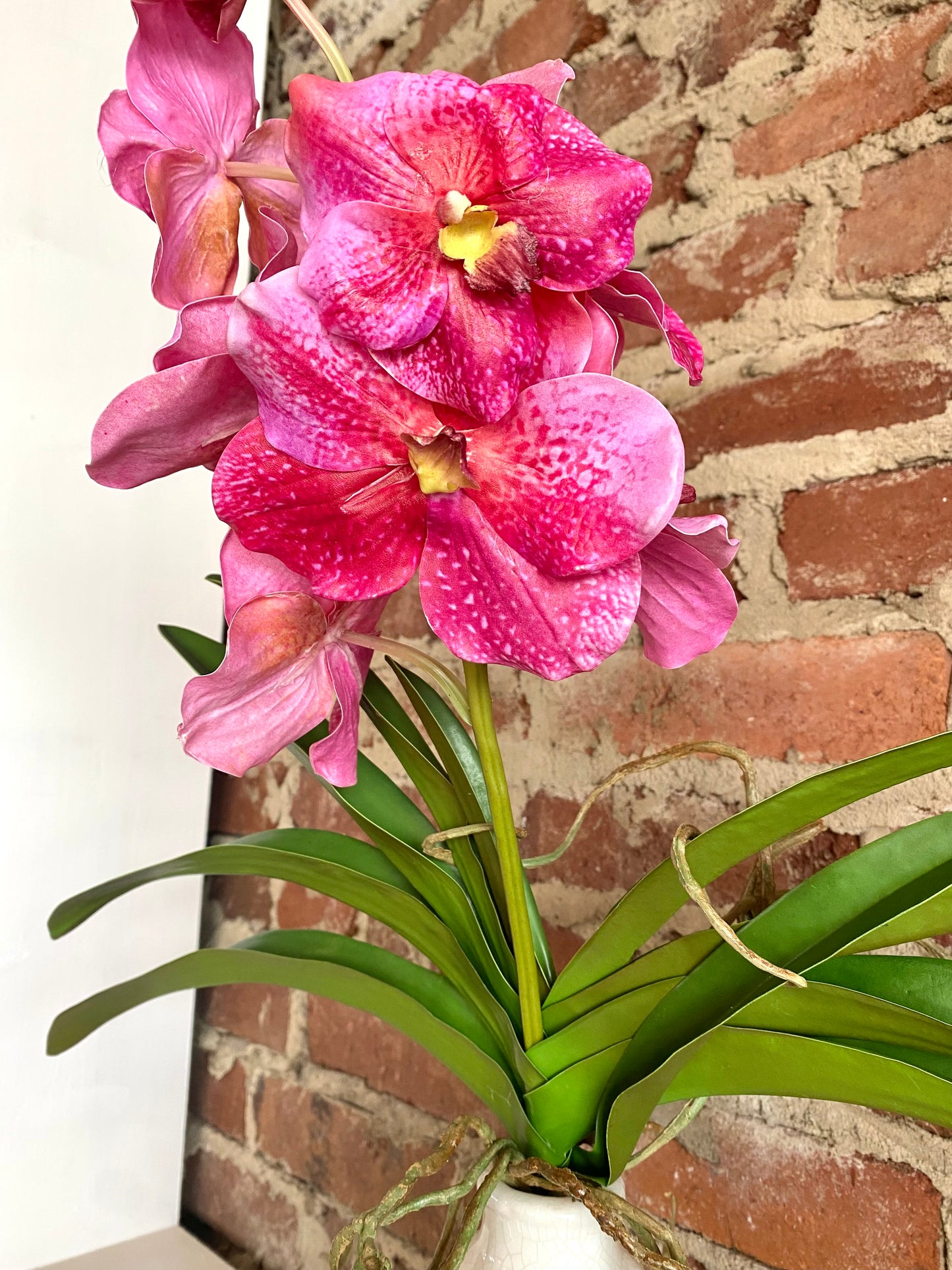 Complete Orchid with Foliage Real touch - Pink